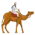 camel
